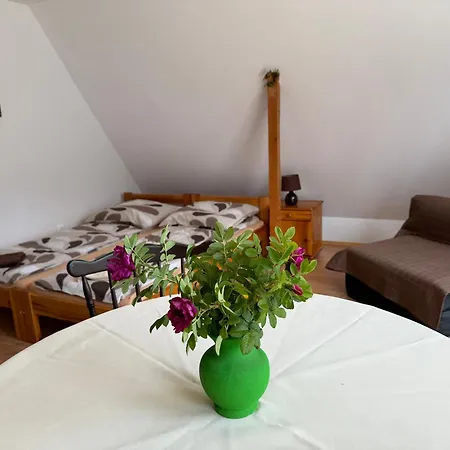 U Pawla * Piwniczna-Zdroj