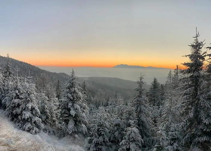 U Pawla * Piwniczna-Zdroj