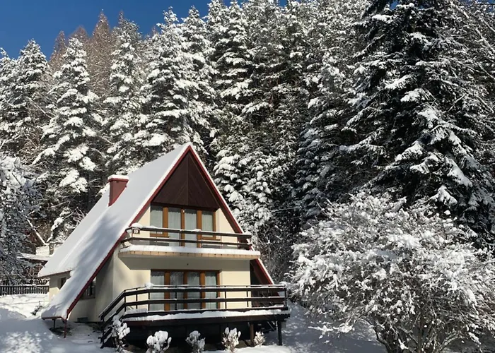 U Pawla Piwniczna-Zdroj